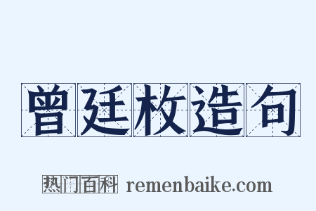 曾廷枚造句是什么意思的图片
